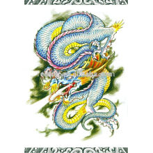 chinese dragon tattoo drawing book